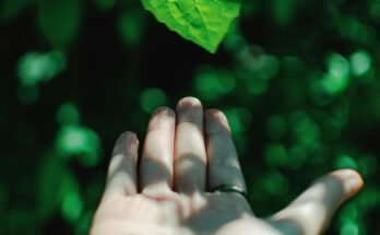 Protecting Our Planet: The Urgent Need for Environmental Action