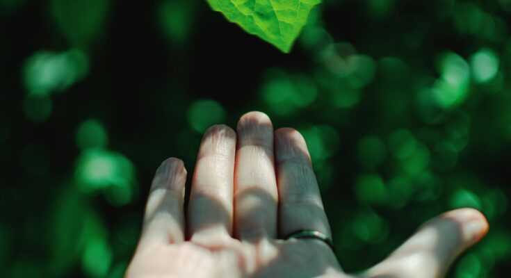 Protecting Our Planet: The Urgent Need for Environmental Action
