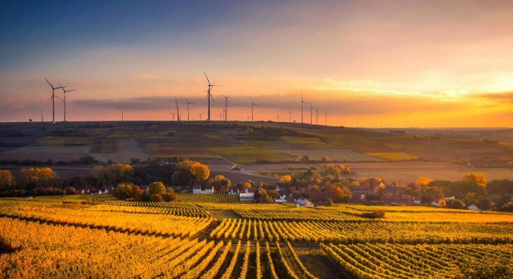 Healing the Earth: How Innovation Is Driving Environmental Change