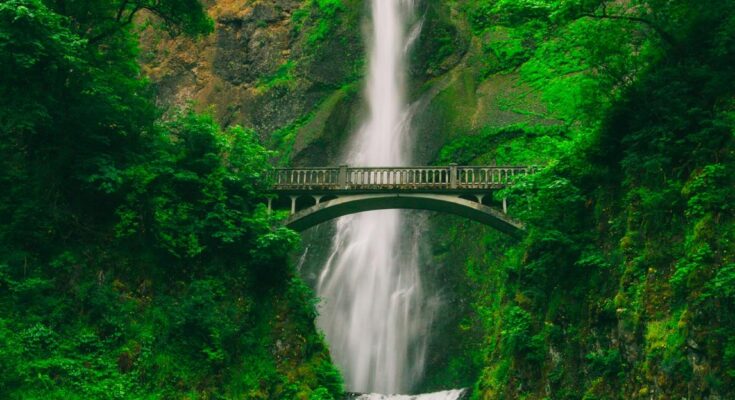 One Planet, One Chance: Why Protecting Nature Matters More Than Ever