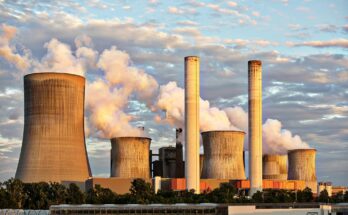 A Greener Future: How We Can All Help the Environment