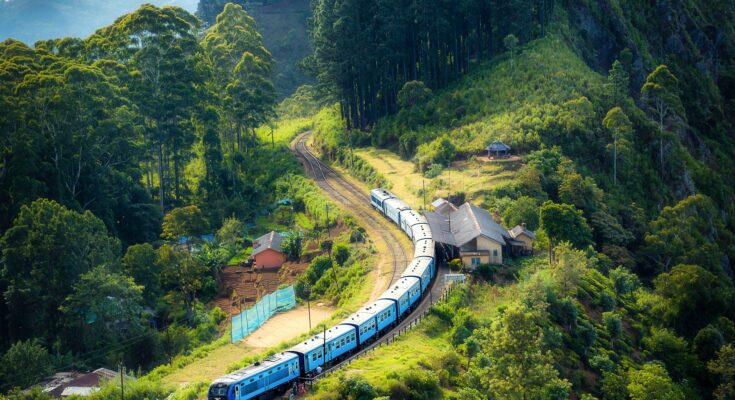 Saving the Earth: Why Every Action Counts