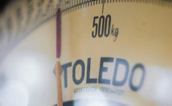 🥇 Winning the Weight Loss Game: Strategies That Actually Work